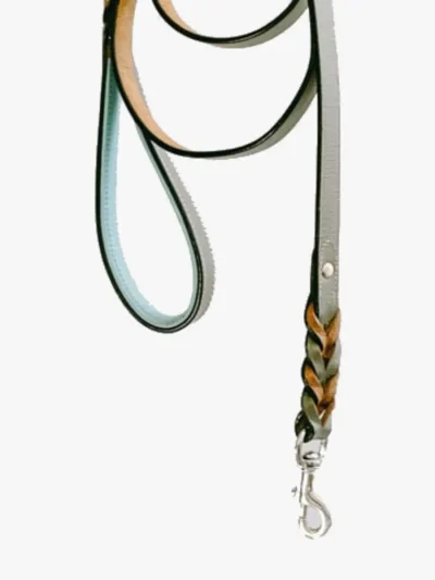 Anti Slip Padded Handle Leash